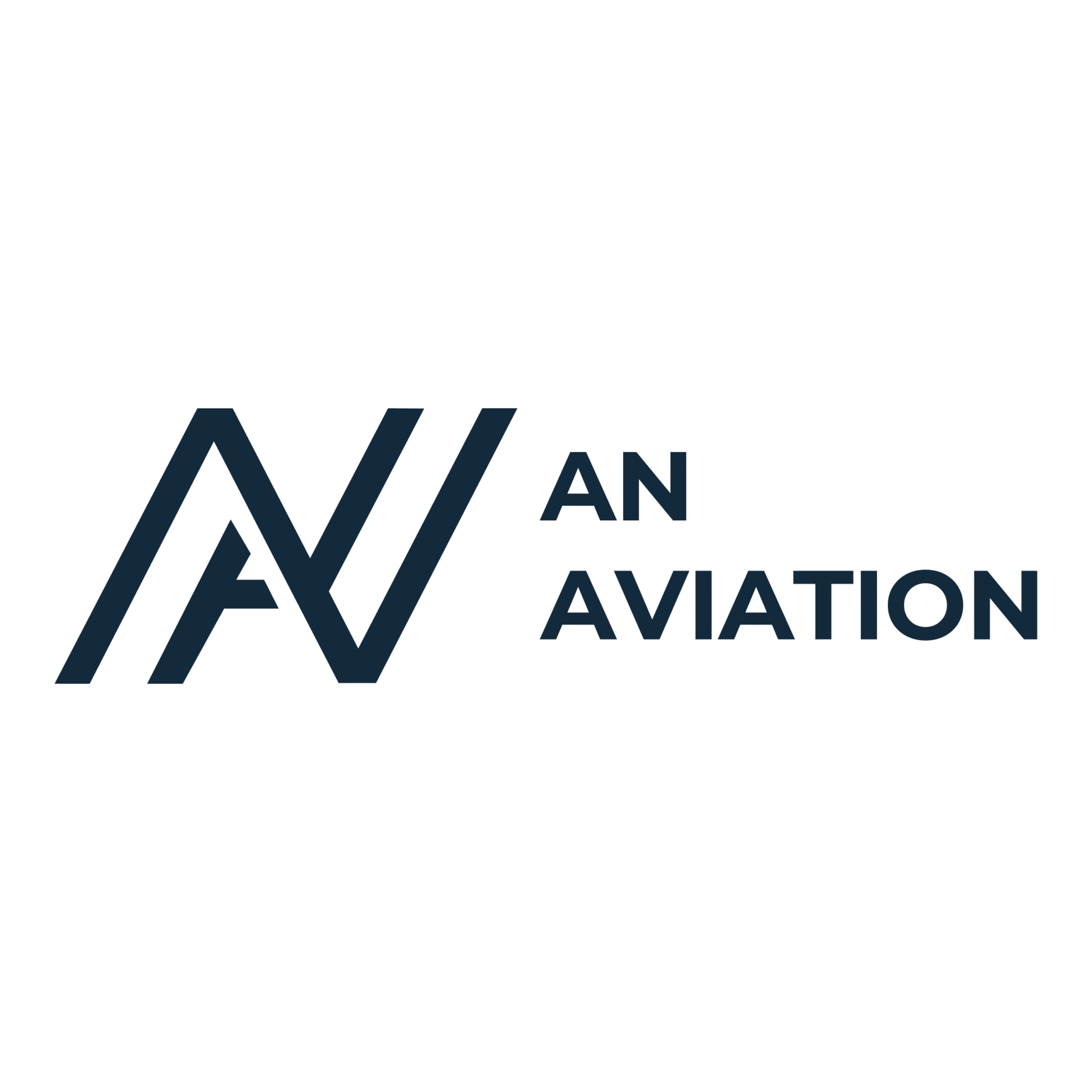 AN Aviation