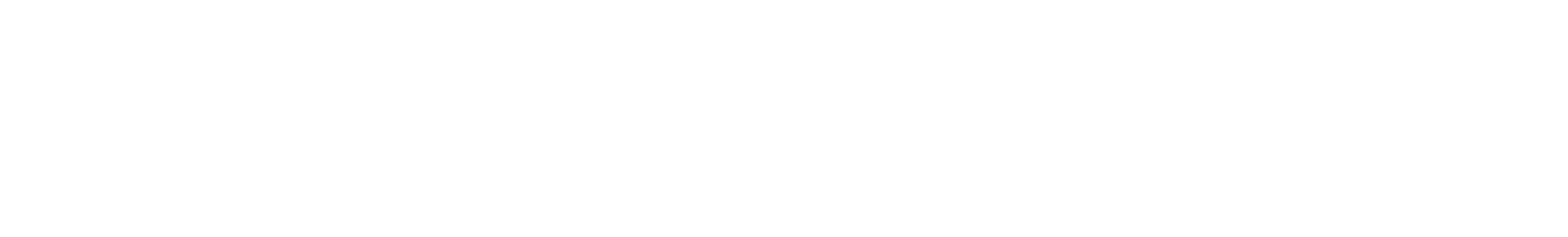 Cargo Next Logo (Transparent)-01 ALL WHITE